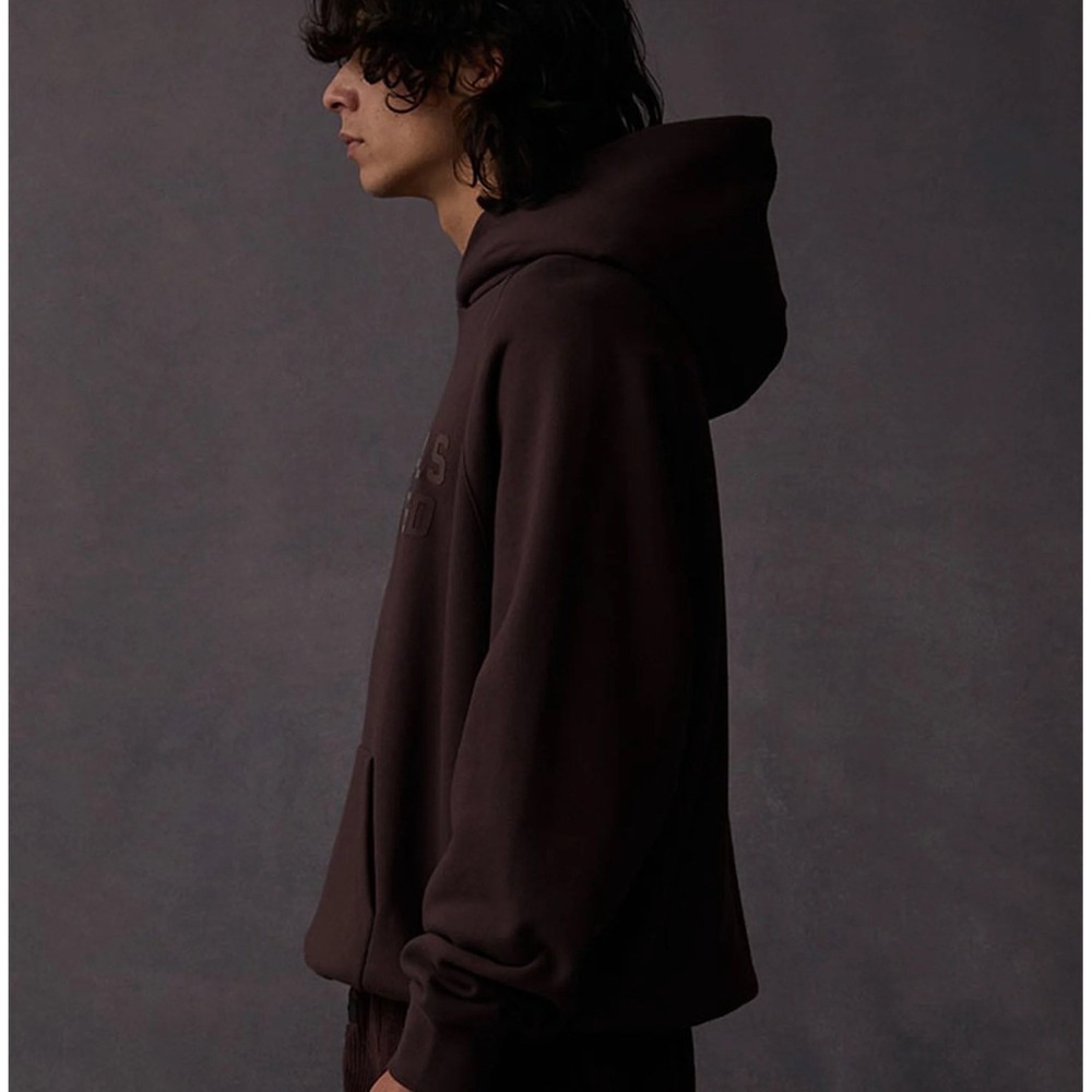 ESSENTIALS Fear of God PLUM Hoodie Limited Edition Oversized Pullover Large NWT - Picture 5 of 12